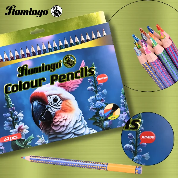 Flamingo 24 Colour Pencil Jumbo – Multi-Colored Leads, Jumbo Grip