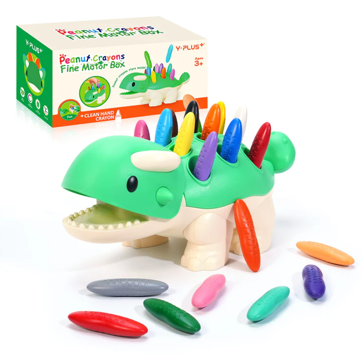 Y PLUS Peanut Crayons in Motorbox – 24 Vibrant Colors